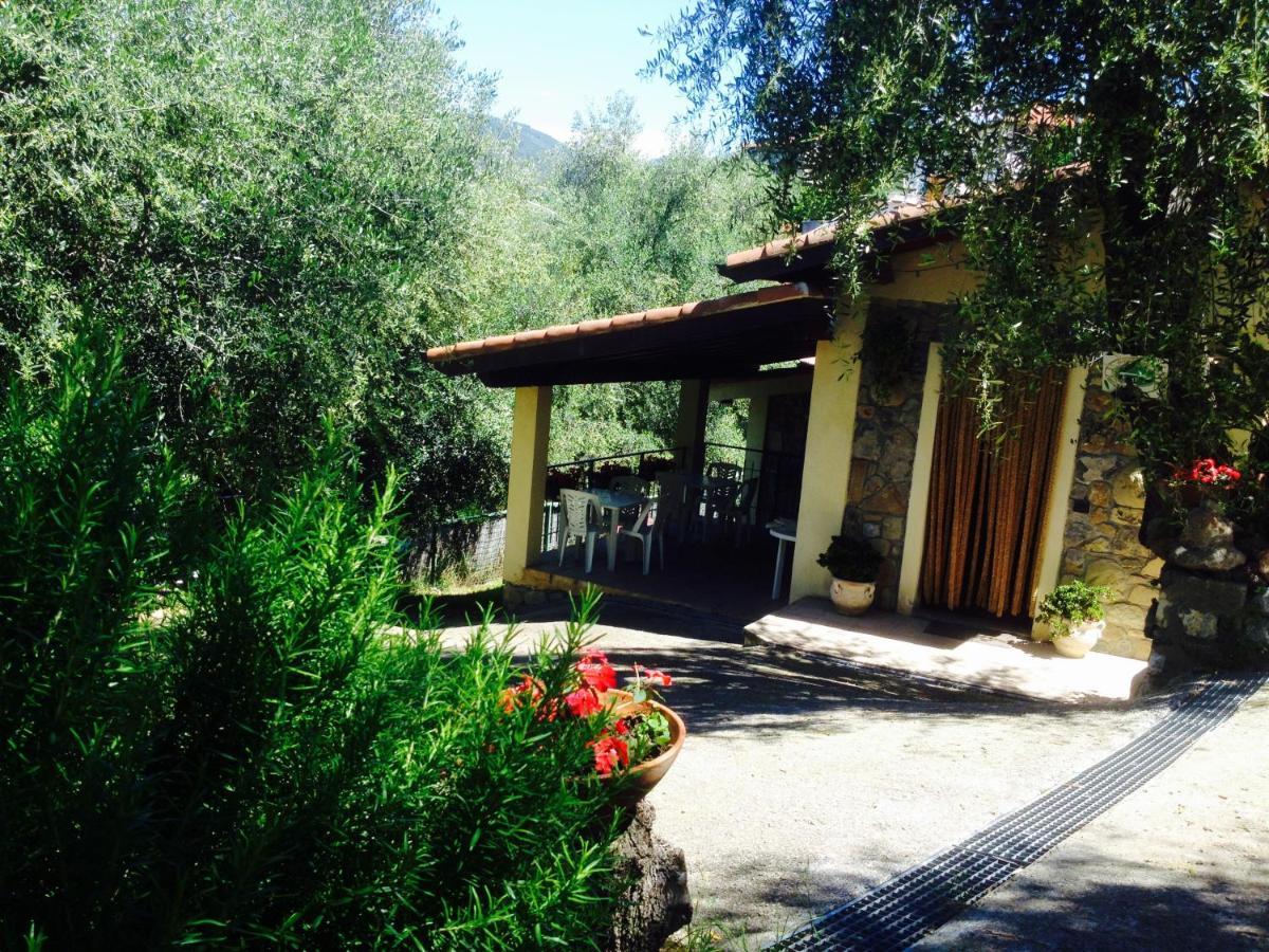 Casa Vacanze Uliveto Bordighera Extérieur photo